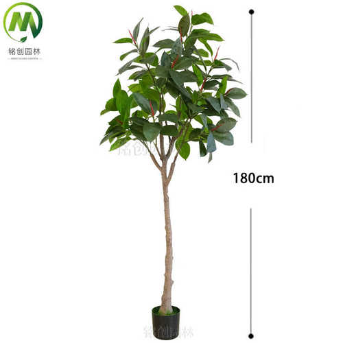橡树盆栽摆件橡树落地植绿橡树装饰室内 仿真设计橱窗假造景