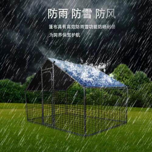 养鸡笼家用户外鸡棚超特大号鸡笼兔笼孔雀防雨鸡棚鸡舍搭建养殖