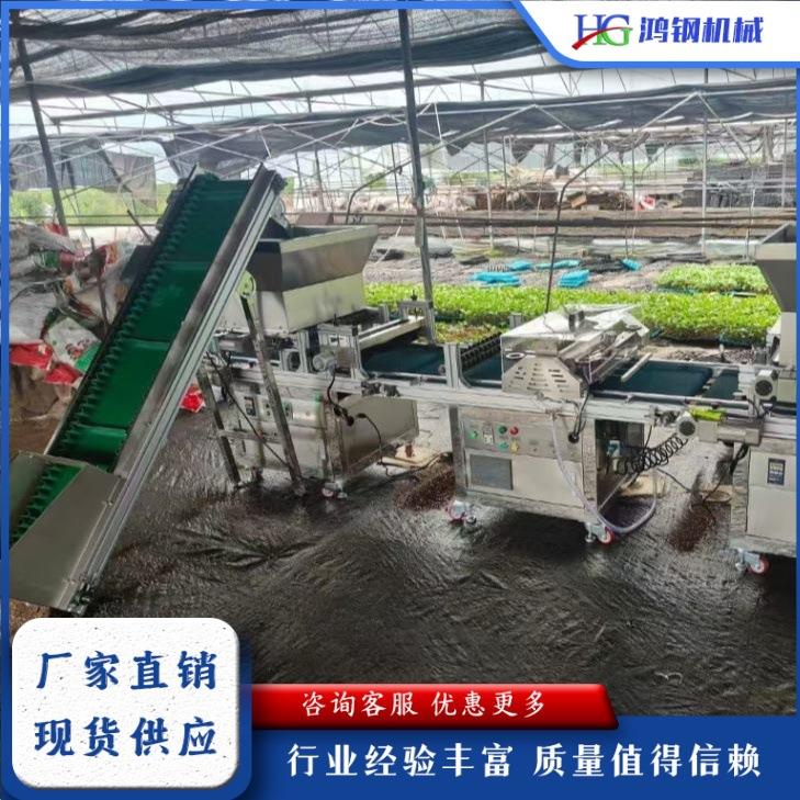 农业全自动穴盘育苗播种一体机 蔬菜大棚花卉流水线育苗种植机