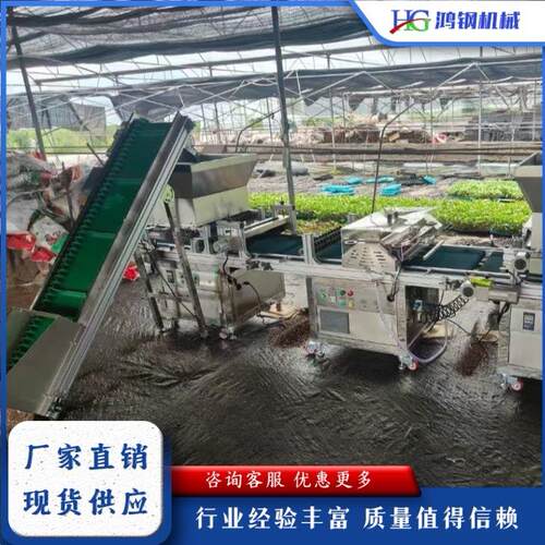 农业全自动穴盘育苗播种一体机蔬菜大棚花卉流水线育苗种植机