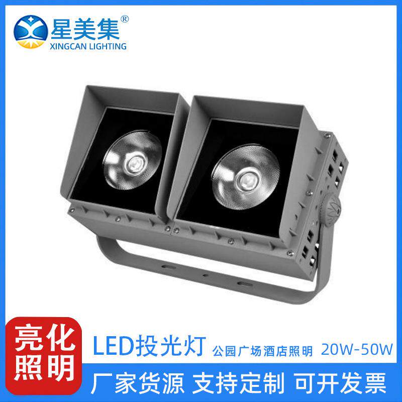 户外防水公园庭院园林景观工程投射灯大功率双模组合20W30W50W