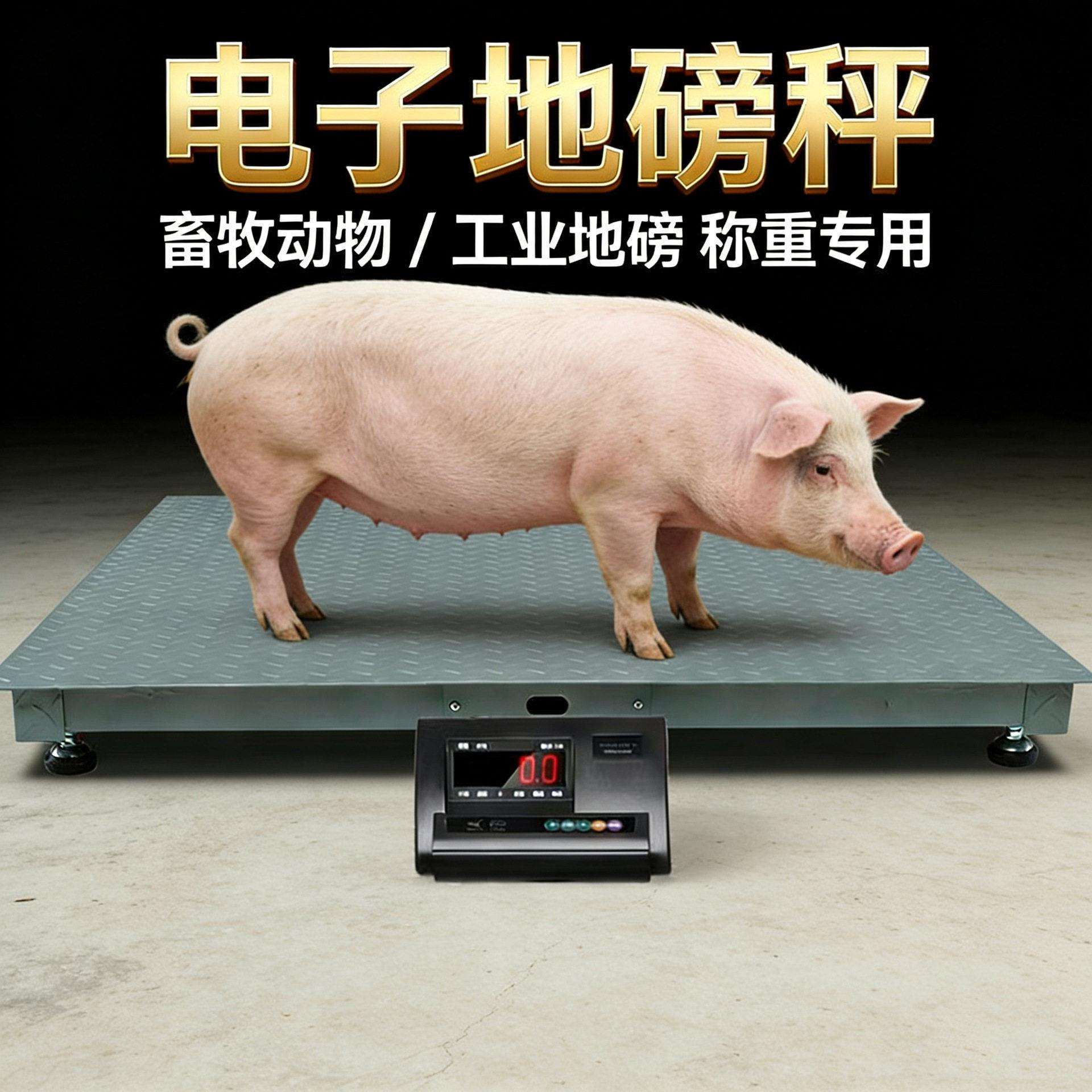 小型地磅加厚1-5吨精准floor scale猪牛磅秤A12地磅电子磅
