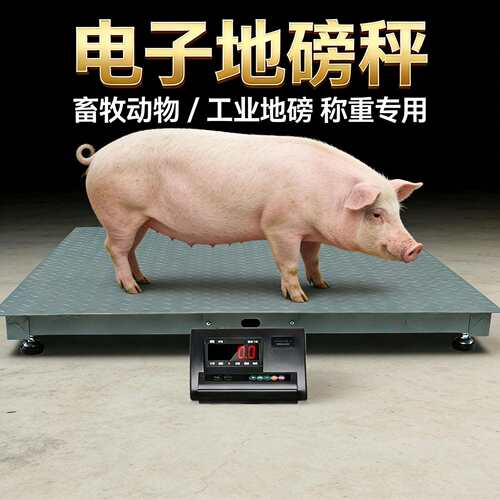 小型地磅加厚1521-5吨精准foo电r scale猪牛磅秤A1l2子地磅磅