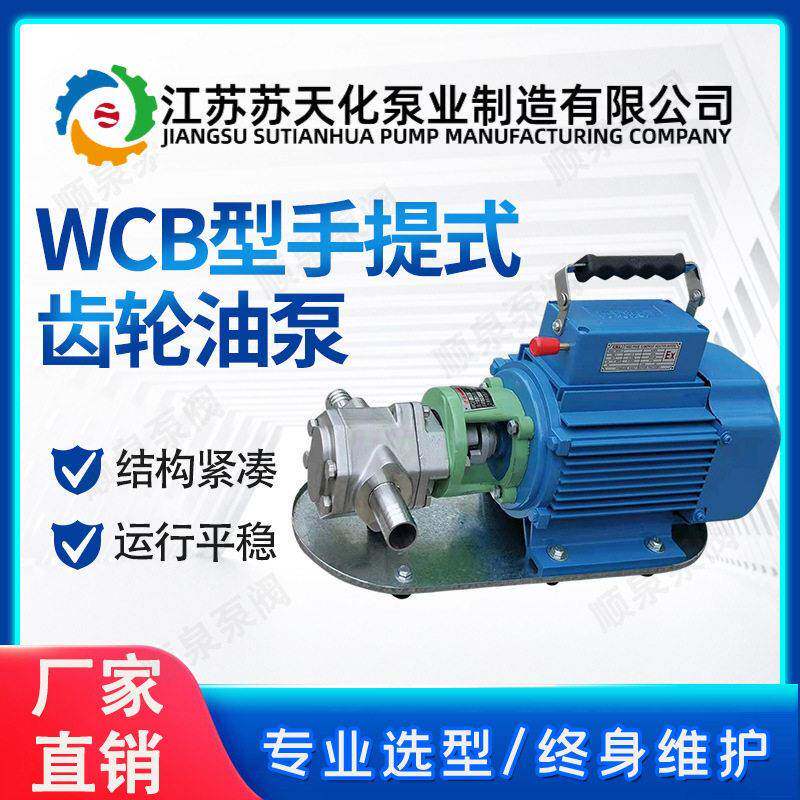 WCB型齿轮油泵微型手提式节能输油泵不锈钢材质