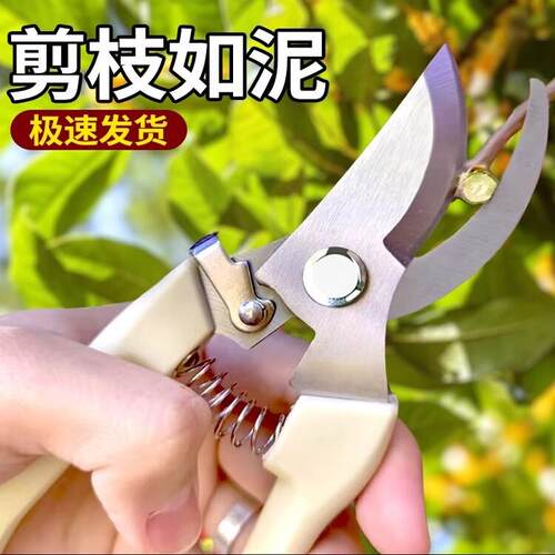 剪树枝专用剪刀花剪园艺园林修枝园丁剪嫁接强力采摘省力修水果树