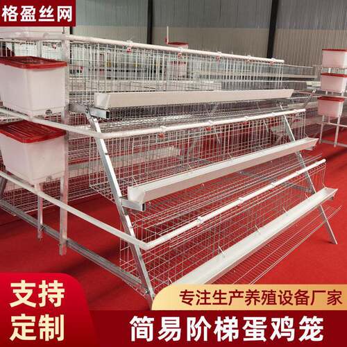 多层阶梯式蛋鸡笼A字型层叠鸡笼阶梯立式接溜滑产蛋养殖场用鸡笼