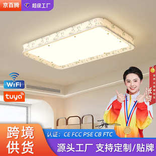 复古印花房间卧室灯 宋氏复古led吸顶灯长方形客厅灯布艺新中式