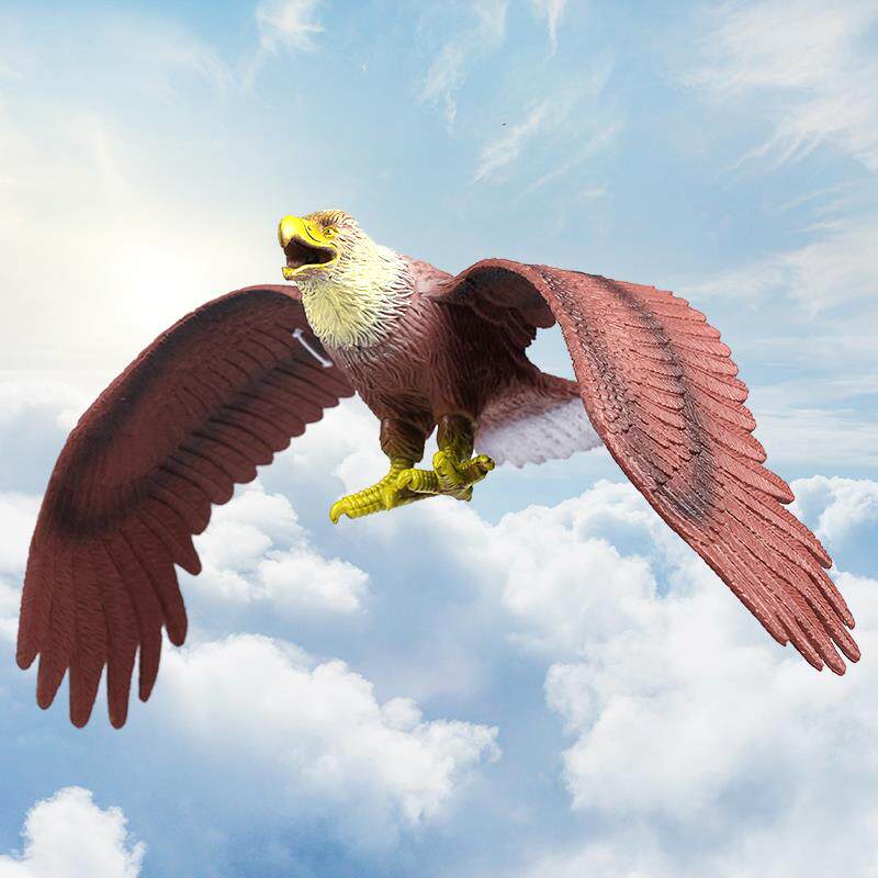 大号彷真老鹰模型塑胶彷真动物鸟类猛禽飞行动物儿童玩具金雕大雁