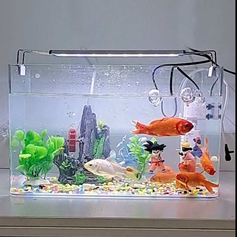 鱼缸家用懒人透明弯缸客厅造景中小型生态桌面缸阳台长方形跨批发