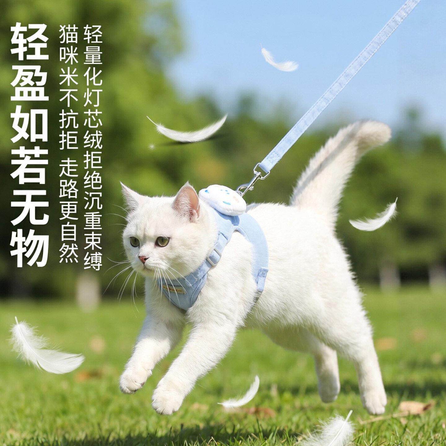 猫咪牵引绳防挣脱不勒脖外出专用猫绳子猫胸抱婴袋猫项圈溜小猫神