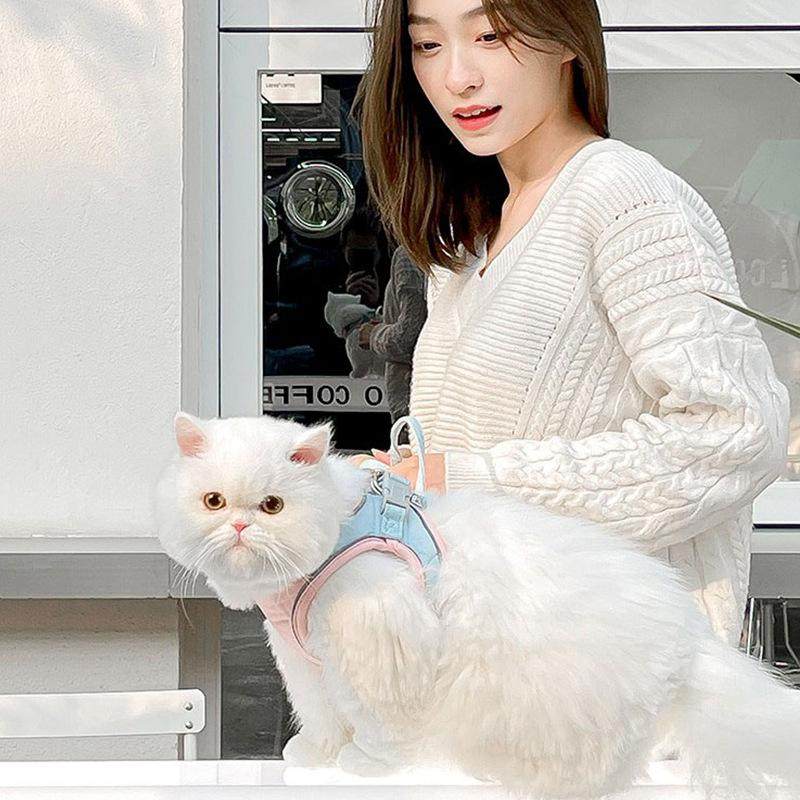 猫咪牵引绳遛猫绳防挣脱外出专用小奶猫幼猫背心式防丢溜猫牵引绳,宠物/宠物食品及用品,猫牵引绳,淘宝优惠券,粉丝福利购,淘宝优惠卷