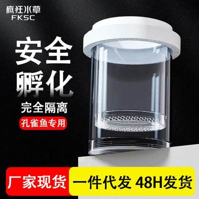 孵化器疯狂水草孔雀繁殖孵化器