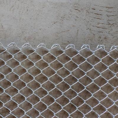 镀锌铁丝钢丝勾花网TXW定制动物养护殖网栏围栏专用可菱定制形加