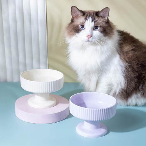 陶瓷宠物碗高脚碗陶瓷猫碗小狗碗护颈椎大口径猫食盆跨境宠物用品