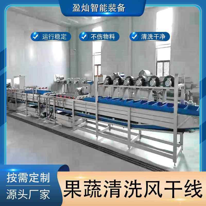 果蔬气泡清洗机蘑菇金针菇菌类清洗机萝卜杏子蓝莓地瓜清洗设备