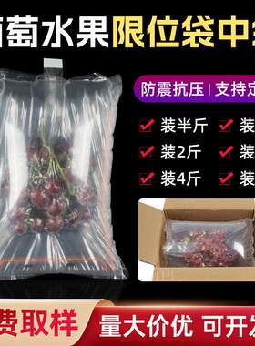 葡萄袋中袋充气袋化妆品保护袋易碎品防撞缓存袋气泡柱气柱袋