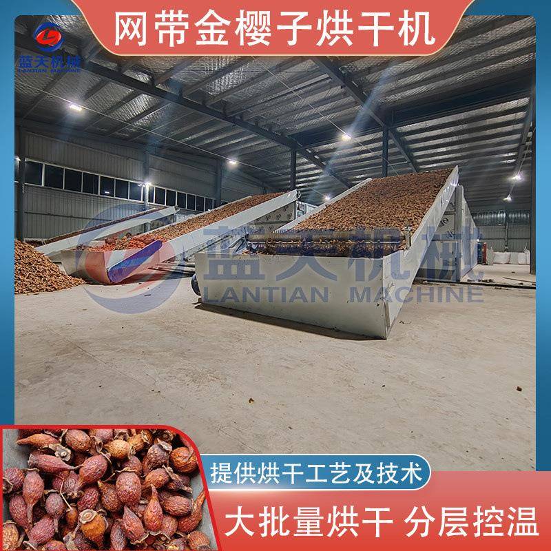 大型金樱子烘干机多层网带糖罐子刺头金英果山石榴药材烘干设备