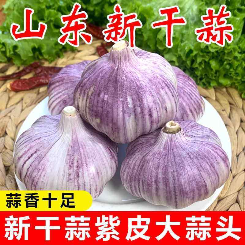 特价金乡紫皮大蒜干蒜新鲜特大号红皮大蒜子便宜蔬菜新鲜多瓣