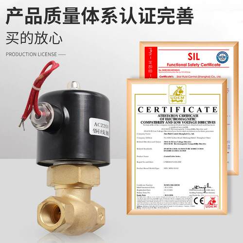 全铜电蒸汽磁阀高温锅炉蒸阀2L/US系列2分4分6分1公寸 高汽SIRT斯
