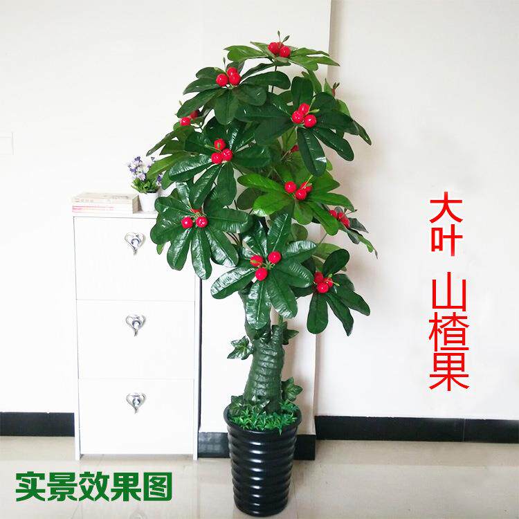 仿真植物盆栽室内客厅落地摆放盆景田园水果发财树仿真山楂树