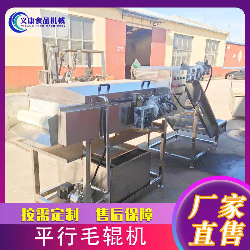 商用柚子橙子清洗打蜡机 百香果苹果清洗打蜡设备 平行毛辊清洗机