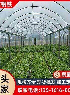 镀锌管温室大棚骨架蔬菜大棚花卉种植大棚q235b镀锌大棚单体