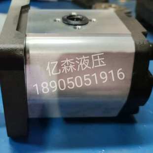 国产替代BLUE AP20系列齿轮泵AP30.510.AAH02SN ASCEND土耳其AP30