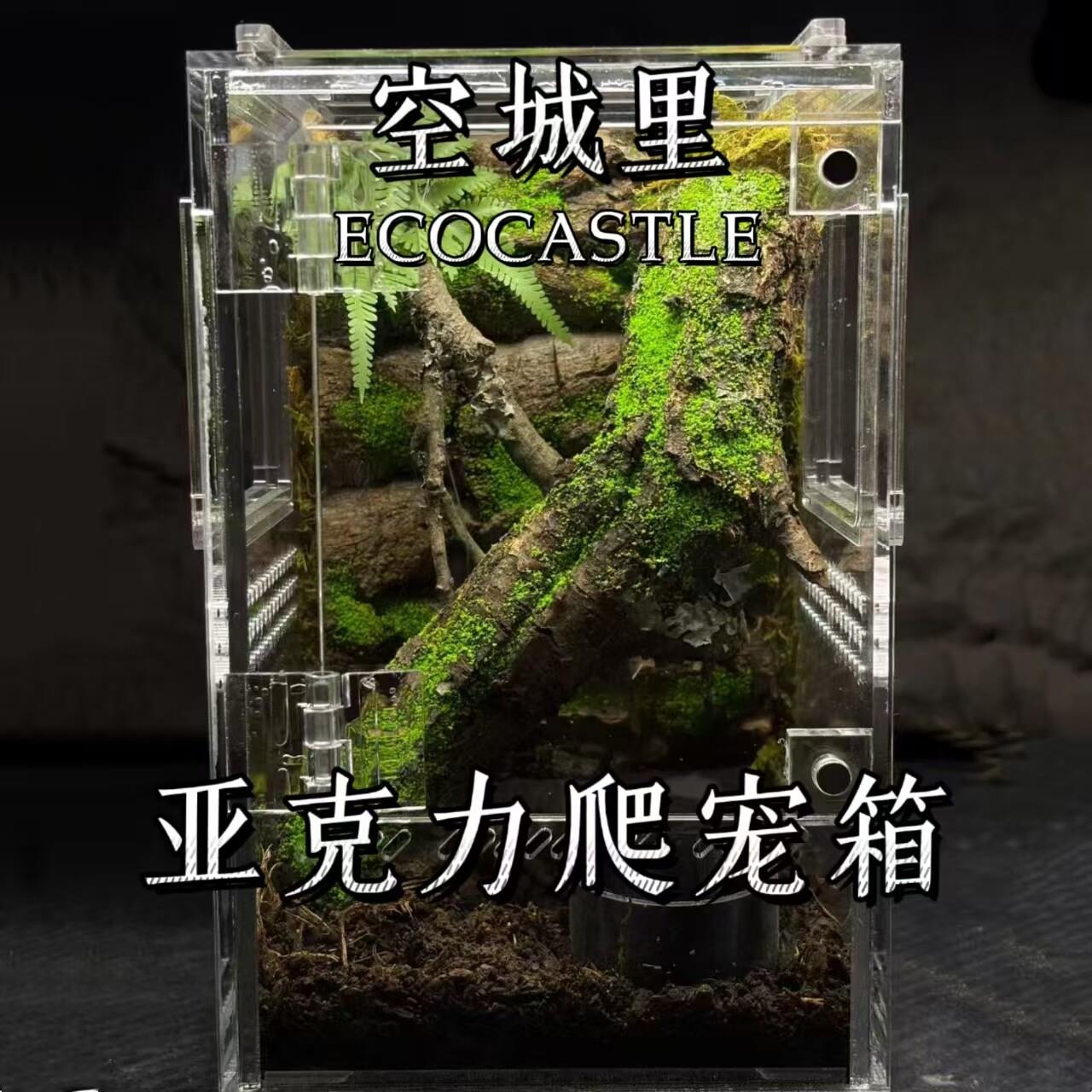 「空城里」压克力小型爬宠箱饲养瓶盒寄居蟹蜘蛛蜗牛甲虫生态缸