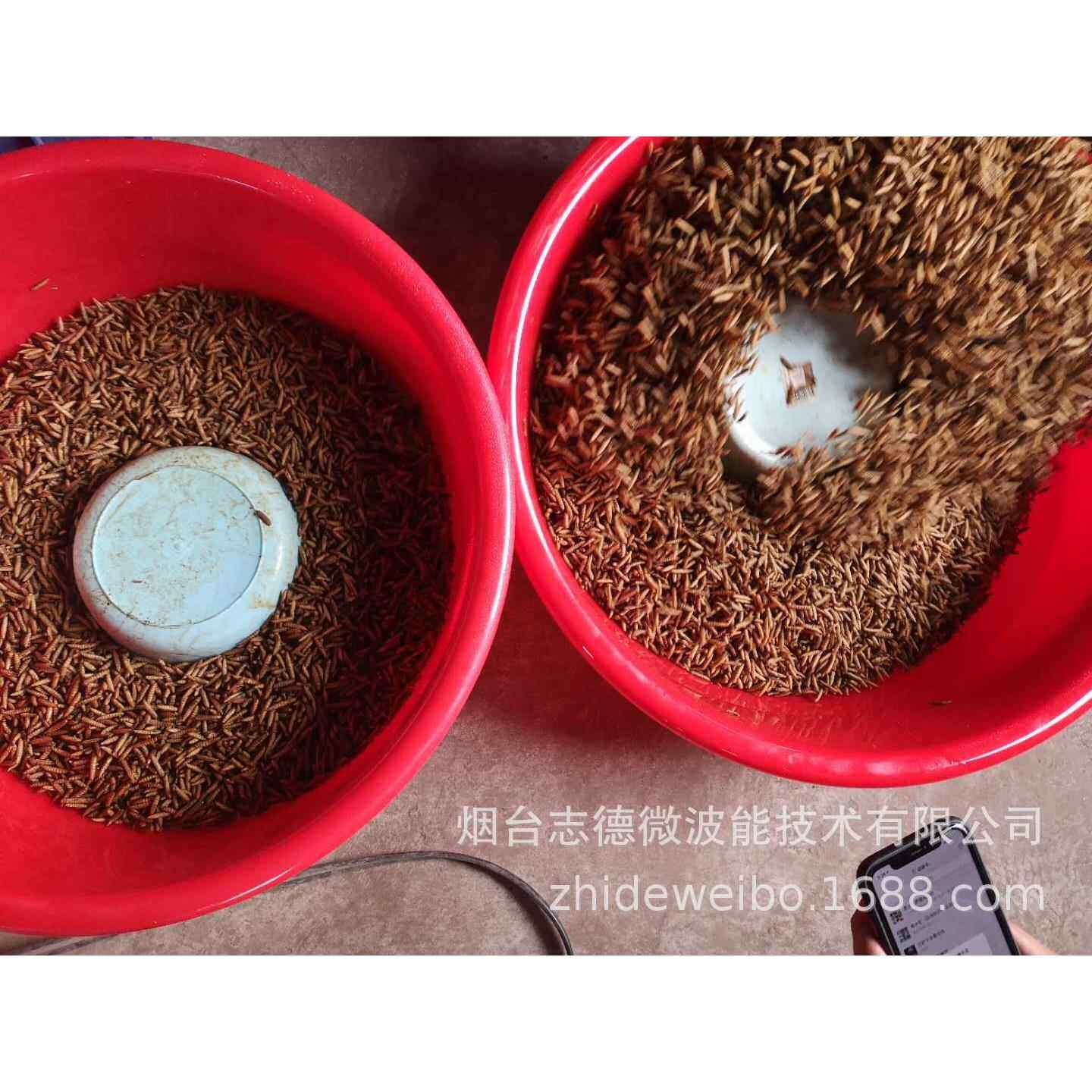 全国黑水虻烘干设备求购黑水虻微波烘干设备山东157575097设备