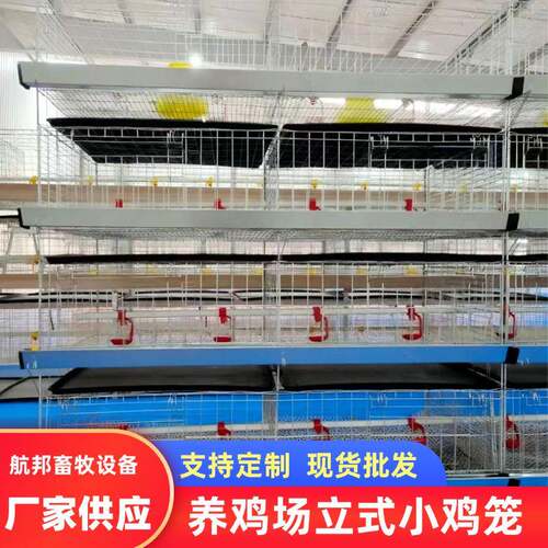 4层立式雏鸡笼厂家定制雏鸡笼小鸡笼育雏笼养殖后热镀立式鸡笼
