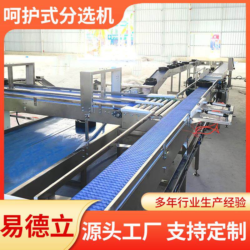 桃子无损选果机零损伤可测糖秋月梨芭乐无损分拣设备西瓜分选机