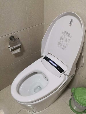 德希顿马桶怎么样曝光网上的贵吗？坑不坑人透彻分析？