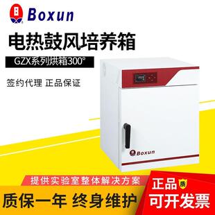 9146MBE电热鼓风干燥箱实验室烘箱样品干燥300度 上海GZX