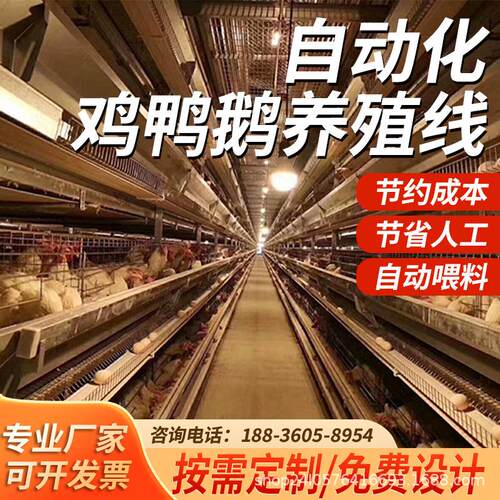 肉鸡鸭鹅养殖全自动养殖线料线