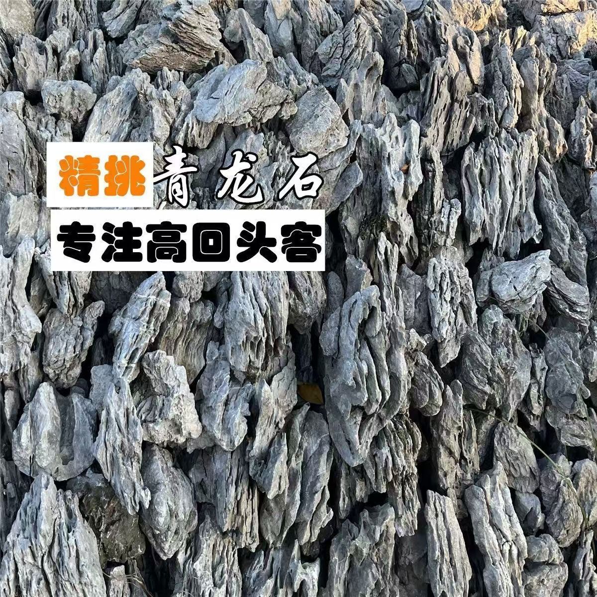 精品青龙石鱼缸水陆缸假山流水盆景造景石石材酸洗英德石景观石
