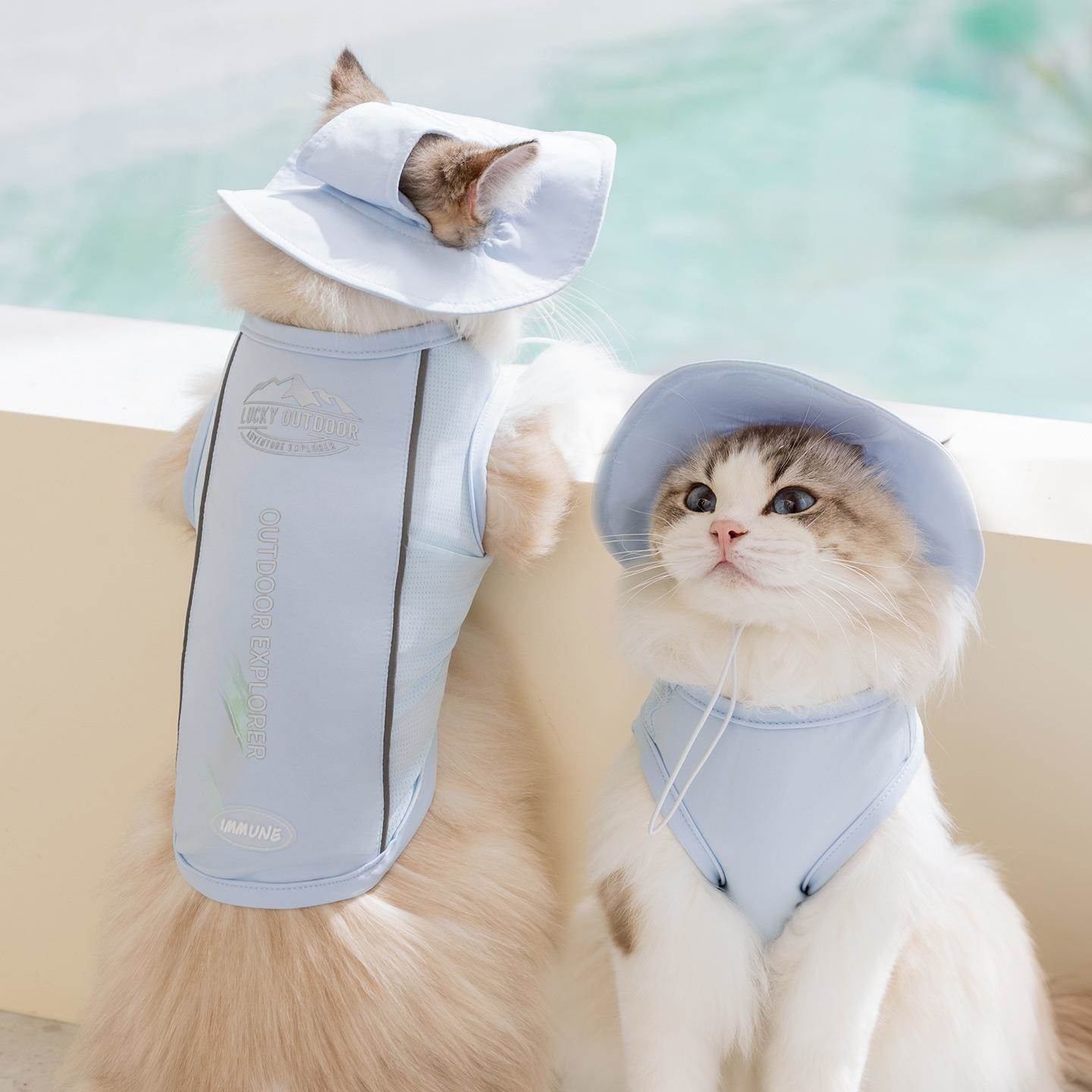 春夏季猫咪户外探险带帽凉凉衣套装无毛猫清凉背心小猫宠物猫衣服