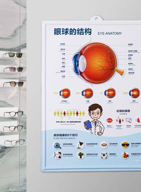 正品眼挂科医院报眼球结构图爱眼眼墙贴眼镜店装饰护画图宣传海图