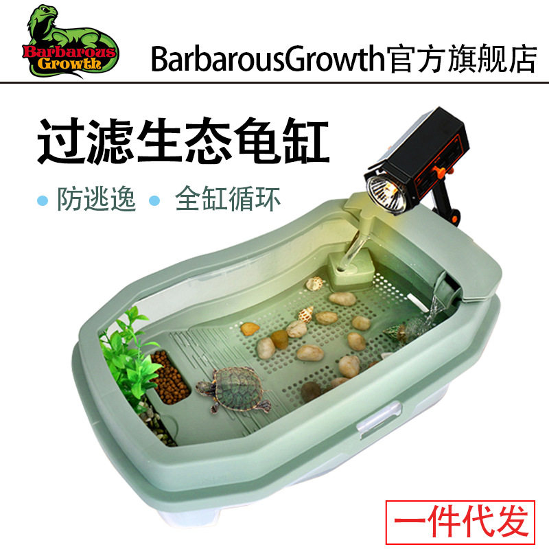 直销乌龟乌龟饲养巴西专用桌面缸