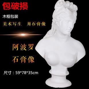 勃兰特太阳神阿波罗石膏像石膏教具石膏头像厂家直销素描用品