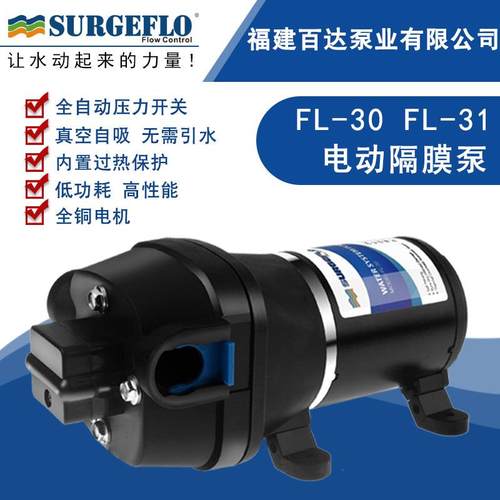 FL-3012V24V直流电动房车游艇生活增压供水自吸清水泵户外抽水泵