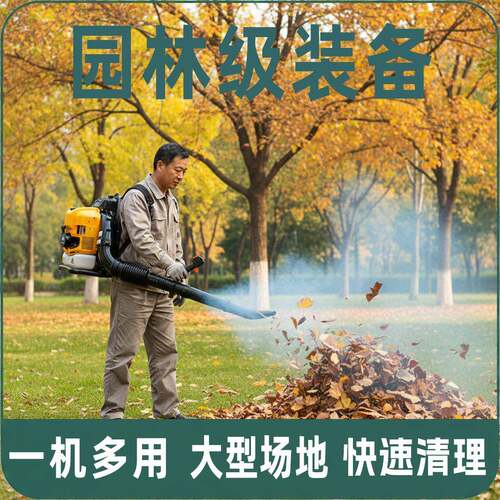 便携式吹雪吹风设备园林养护道路清雪用大风量高速除尘吹叶机