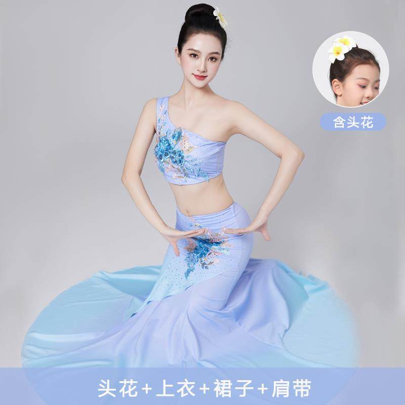 高档傣族服女装成新款傣族舞蹈演出服人表演服彩云之剧目南服