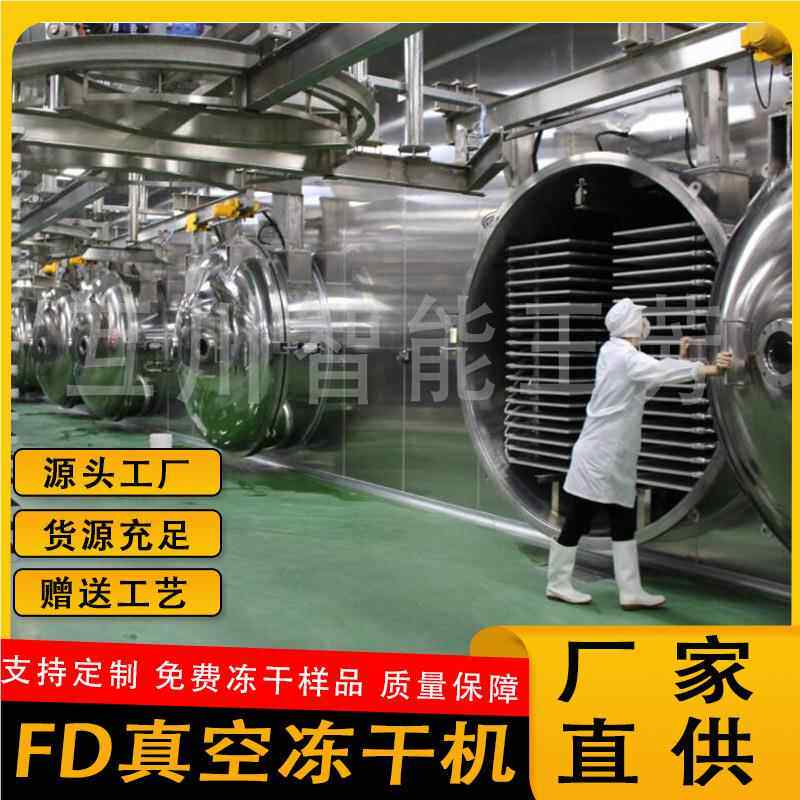 脱水鸭HFD350L饼肉紫薯生骨肉真干燥机 宠物狗干牛肉粒空冻机设备