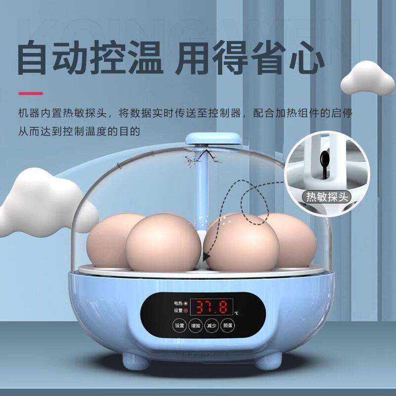 智能小型孵化机红色小火车 威振品牌家用自动孵蛋器