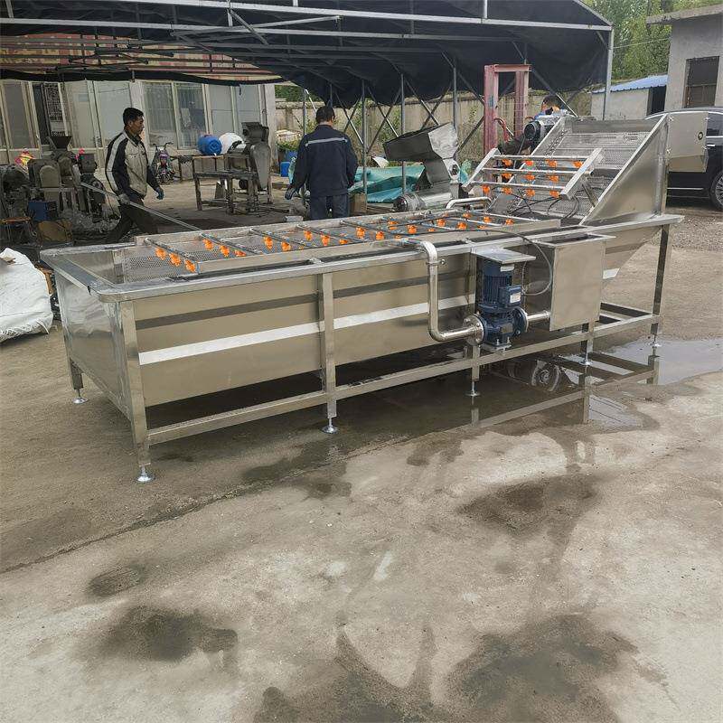 蔬菜气泡洗菜机不锈钢生菜辣椒苹果葡萄商用果蔬清洗机厂家制造