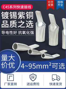 C45鸭嘴鼻4/6/10/16/25/35/70/95方形冷压空开针式铜端子座