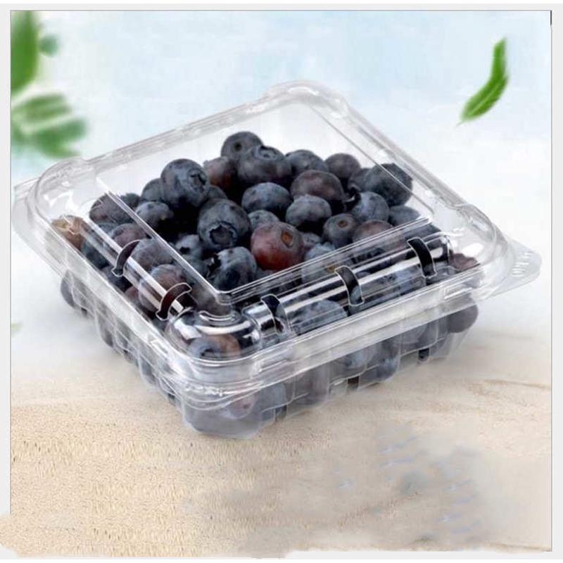 厂家直销二两半125克蓝莓包装小盒一次性PET透明盒整箱1000个打包