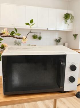 家用微波炉小型实用20L多功能机械式可视微波炉现货热销