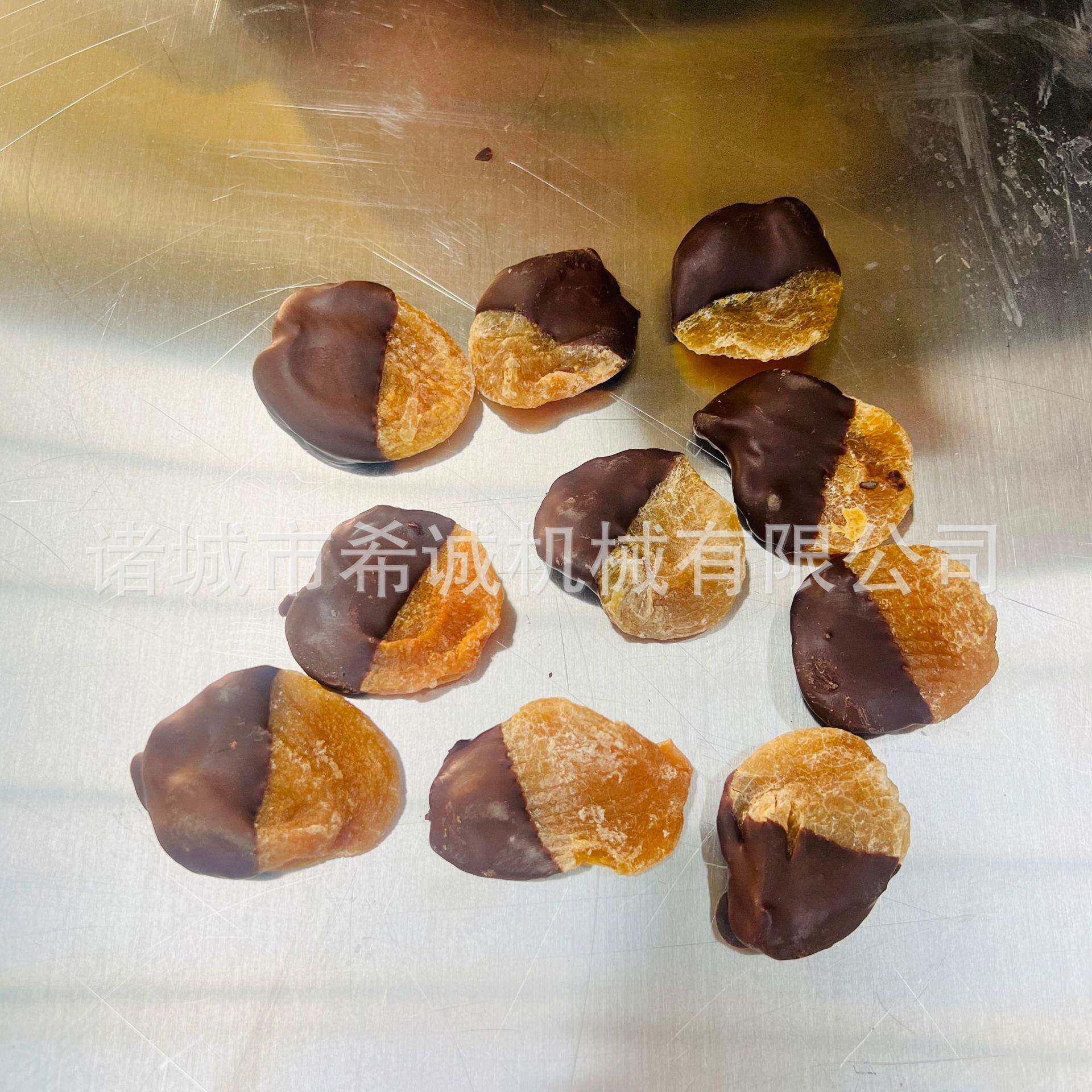 蛋糕面包涂层巧克力冷却隧道 冻干产品涂层巧克力冷却隧道