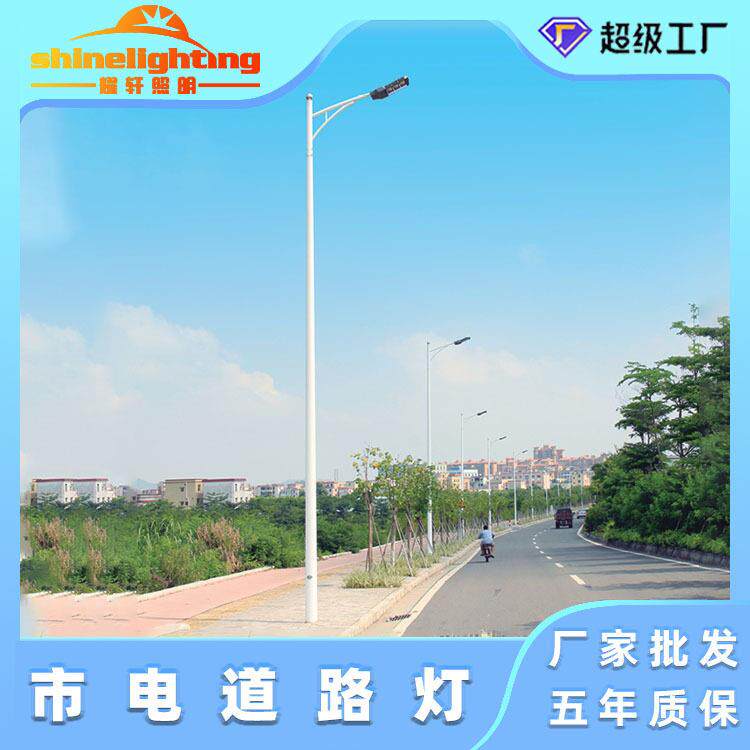 户外led路灯6米~12米市政道路灯臂节能灯道路照明路灯